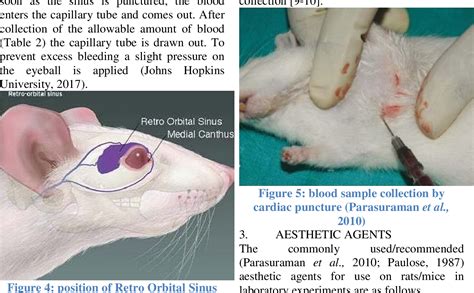 blood analyzer laboratory mouse|murine blood in mice.